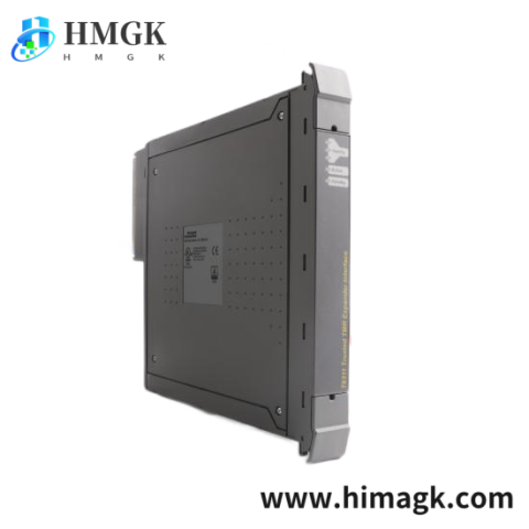 ICS TRIPLEX T9310-02 Off-the-Shelf Module